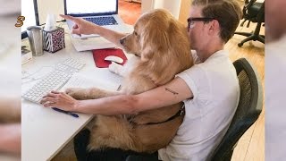 Top 10 Cutest & Cuddliest 57 - Having a hug with my BFF