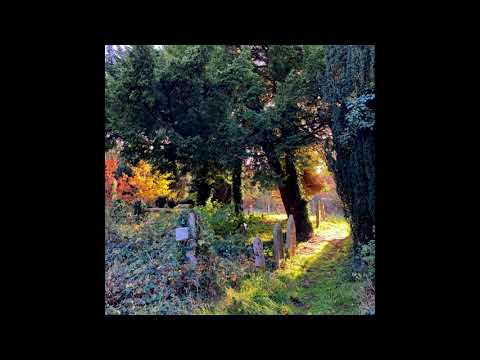 [FREE FOR PROFIT] Glaive x Ericdoa x Brakence Hyperpop Type Beat - "relief"