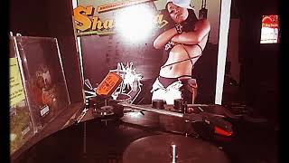 Shawnna worth tha weight: shake dat shit