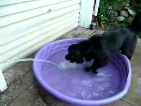 Addy's Pool Party 06 of 10