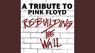 The Thin Ice (Cover Version)