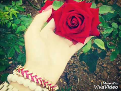 A beautiful song sung by Miss Ruksana