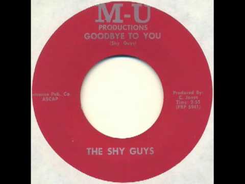 Shy Guys - Goodbye to you (US moody garage psych)