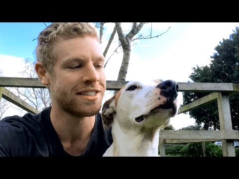 Growing Almond Trees - Flowering and Harvesting
