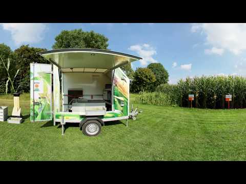 KWS SAAT SE | Sortendemonstration Mais