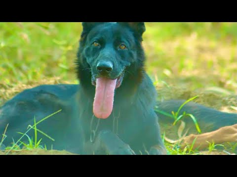 ROCKYY INJOY KARTY HOY 🖤🖤🖤🖤🖤🖤🖤