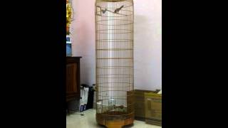 VIDEO0274 01