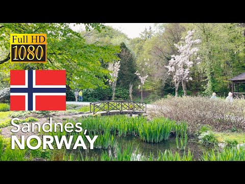 Sandved Parken’s fabulous vegetation in #Sandnes city in south #Norway 🇳🇴 #park #green #relaxing