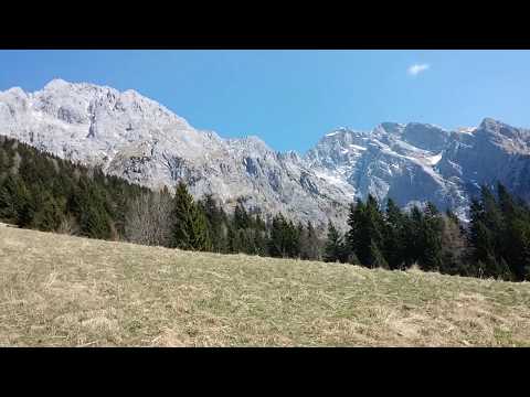 COLLINA DI FORNI AVOLTRI & DINTORNI