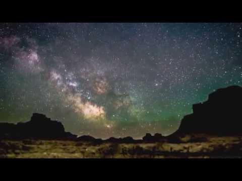 DJ CopyCat Project - Lifeforms