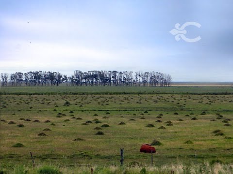 Video de YouTube - Venta Campo en Rocha 9357