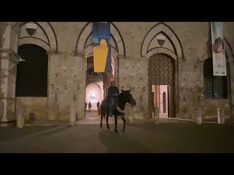 Mula in piazza del Palio #siena la Mula Pioggia ha percorso il ciottolato riservato ai migliori