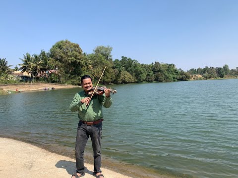 Haalu Jenu Ondaada Haage Violin | Dr. Rajkumar | G K Venkatesh | Chi. Udaya Shankar | Violin Cover