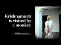 Krishnamurti Is Visited By A Monkey Krishnamurti