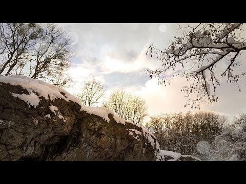 Lora Lie Lo (Patty Gurdy).