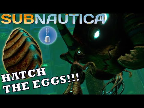 Hatching Enzymes