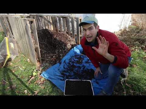 3 Ways to Sterilize Soil for use Indoors