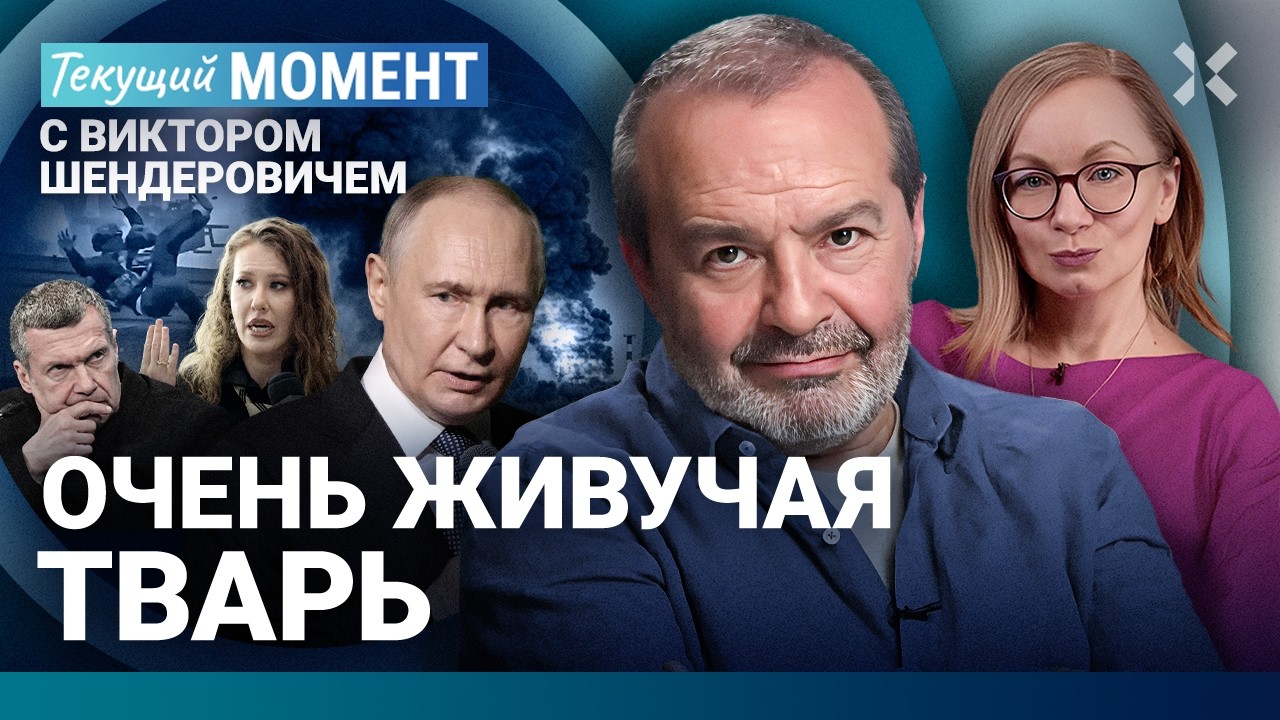 ШЕНДЕРОВИЧ: Паленым запахло. Слив Собчак. Задержание Надеждина. Заговор вокр