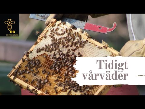 10000000 445050433405767 7021390638626764024 n