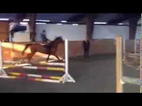 Carentan Con Air Heraldik xx Königspark xx