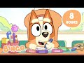 LIVE Let S Have Fun With Bingo Games With Bingo And Bluey Bingo