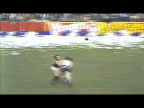 Awesome Team Goal for the Blues - 1983 Round 17