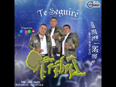 TRIBU MUSICAL..... CUMBIA MIXTECA