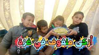 طريقة عمل ملفوف محشي فلسطيني على الحطب في خيام غزة 🤗💚🇵🇸