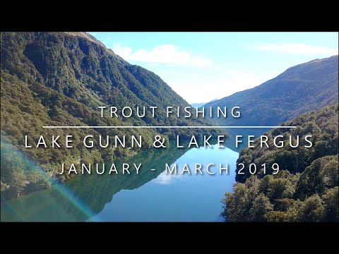 Lake Gunn and Lake Fergus Trout Fishing - January/March 2019 (005)