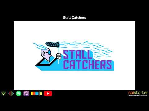 Citizen Science Podcast: Stall Catchers (aired on 2019-04-01)