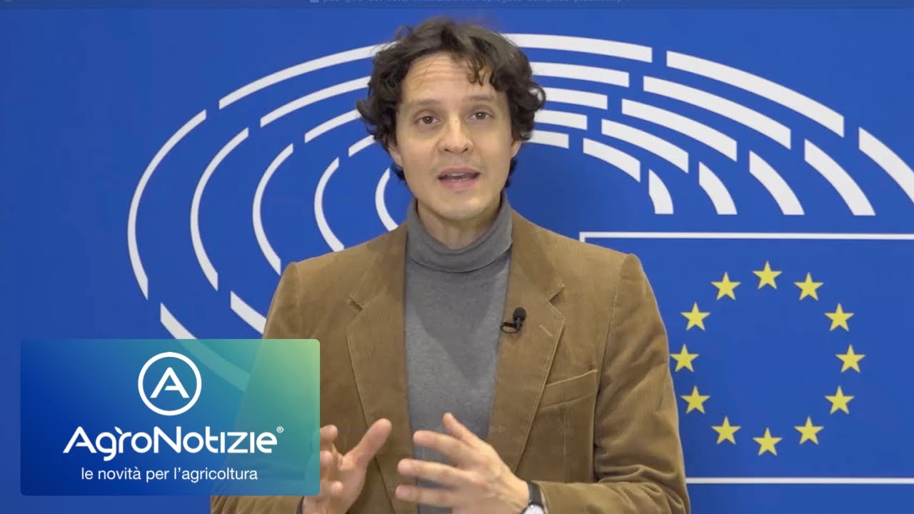 Pac, come funzionano i pagamenti agli agricoltori