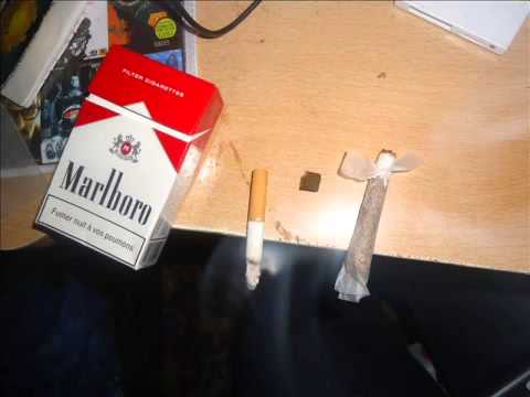 Gnawa diffusion - Bent EL Jiran 2012