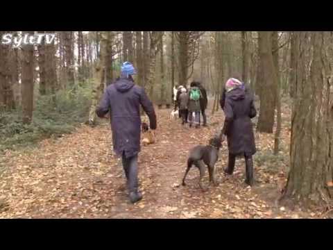 Hundstage in Wenningstedt auf Sylt