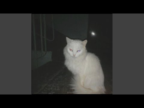 miss me x ezhel & motive