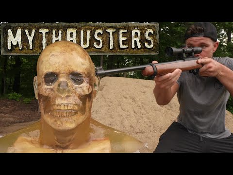 The 22LR "PINBALL" Theory, Is It TRUE??? (vs HEAD)