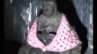 preview picture of video '心霊スポット逝ってみた　　人穴　　洞内の映像もあるぜよ　静岡県富士宮市'