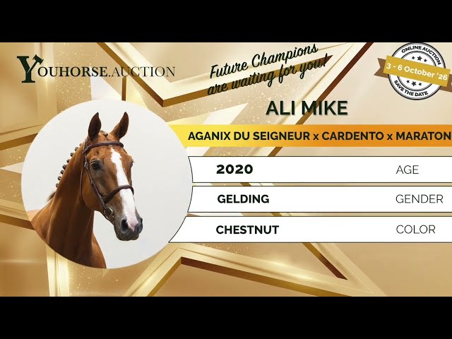 Ali Mike showvideo