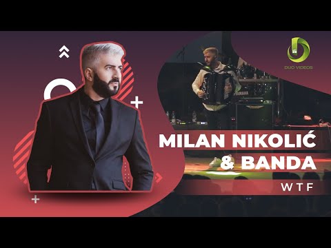 Milan Nikolic & Banda - WTF