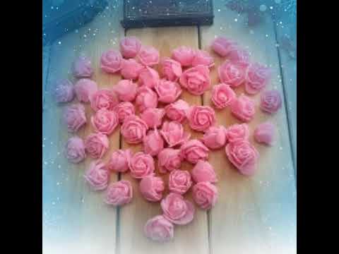 Most Beautiful Flowers Pictures