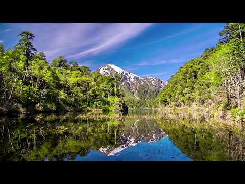 Himno #550 Día santo del Señor.
