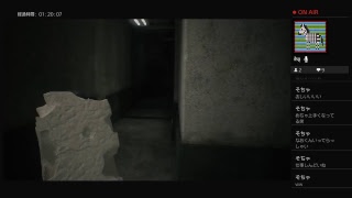 バイオハザードre2豆腐