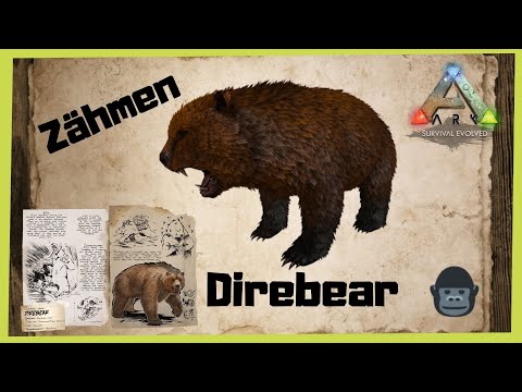 ARK‬ Survival Evolved Direbear zähmen 2021 [/Taming/INFO/ GUIDE/Deutsch/Dinos zähmen]