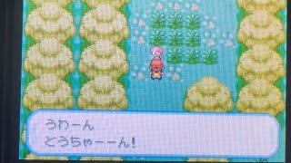 【ゲーム実況】『ポケットモンスター ファイアレッド』をプレイ！28