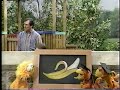 Sesame Street Zoe Takes A Monkey Lesson