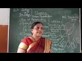 12th Std Zoology Lesson 2 Joseph S School Sasthankarai