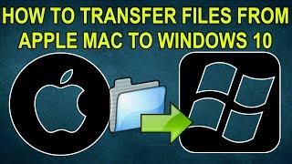 How to Recover Documents from Apple Mac HDD or SSD to Windows 10 Tutorial 2019