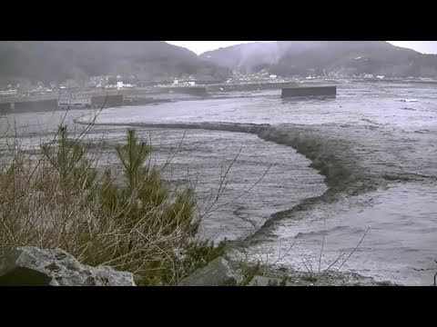 Os Guardiões da Sea Shepherd's Cove testemunham o tsunami em Otsuchi, Japão, em 11 de março de 2011