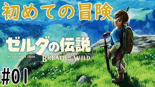 初ゼルダなんでお手柔らかに！【ゼルダの伝説BotW】