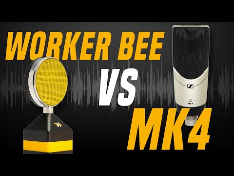 Neat Microphones Worker Bee vs Sennheiser MK4 | Voice-over and Podcasting