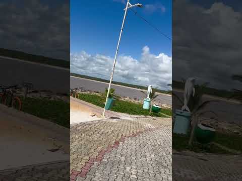 DESTINO VITÓRIA ES 2026! 11° DIA; ITAÚNAS,CONCEIÇÃO DA BARRA,GURIRI,PONTAL DO IPIRANGA